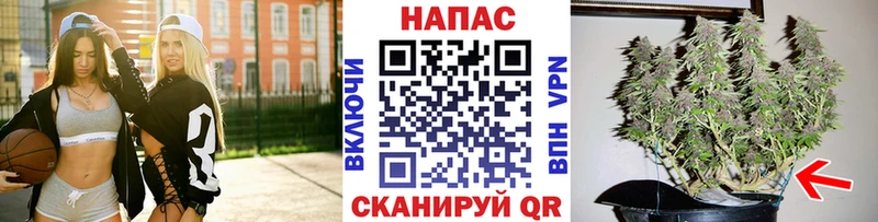 Бошки марихуана ГИДРОПОН  Адыгейск 